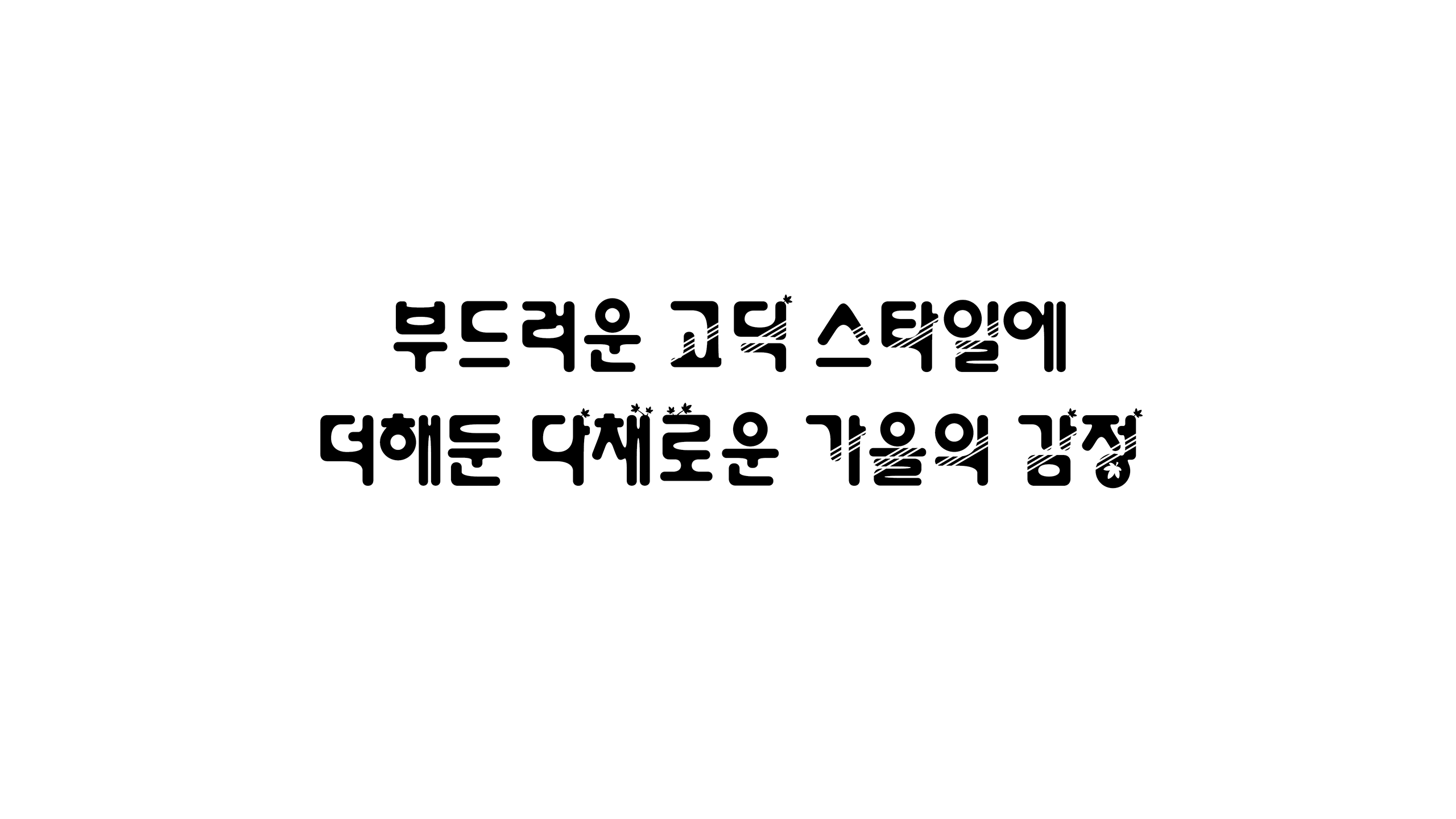 윤디자인, 폰코, 폰트, 살랑하늬, 가을감성폰트, 나뭇잎패턴, 귀여운고딕, 다꾸, 유튜브자막, 자막폰트, 타이틀