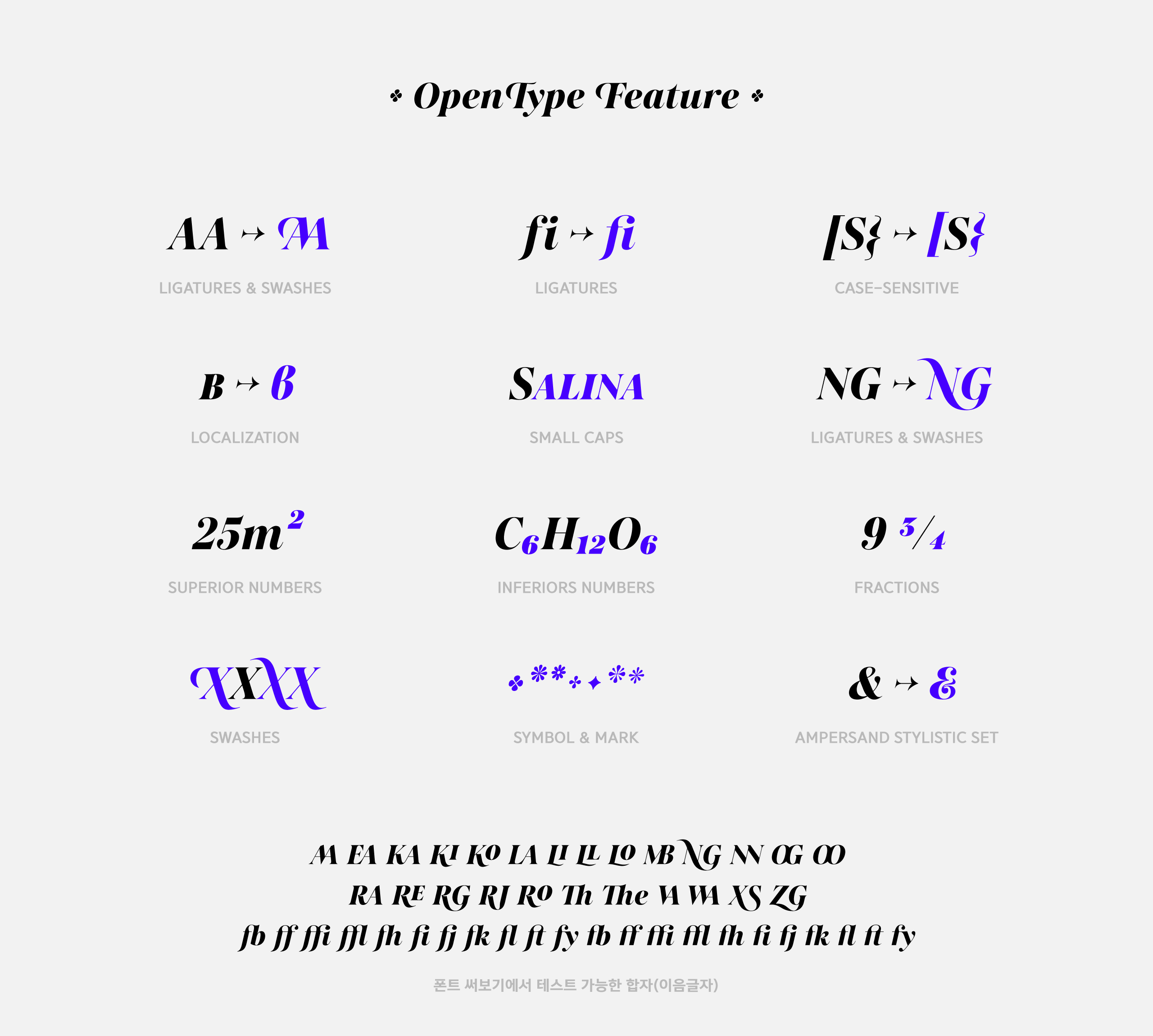 폰코, fontfabric, 폰트패브릭, Salina Swashes