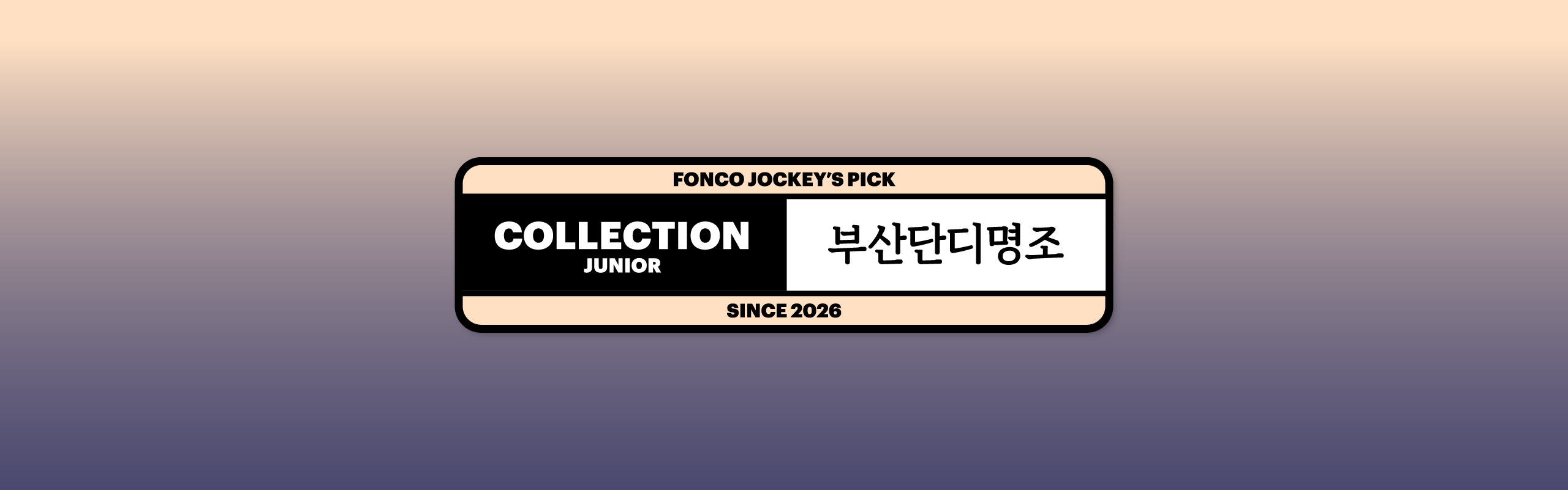 폰코, 상업용폰트, 자막폰트, 해양도시,부산시,부산시전용서체,도시서체,본문용,명조체,라틴확장,무료폰트