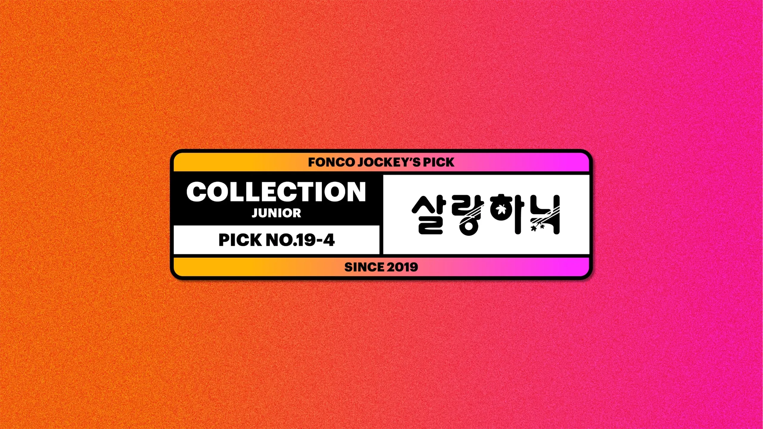 텍스트 이미지