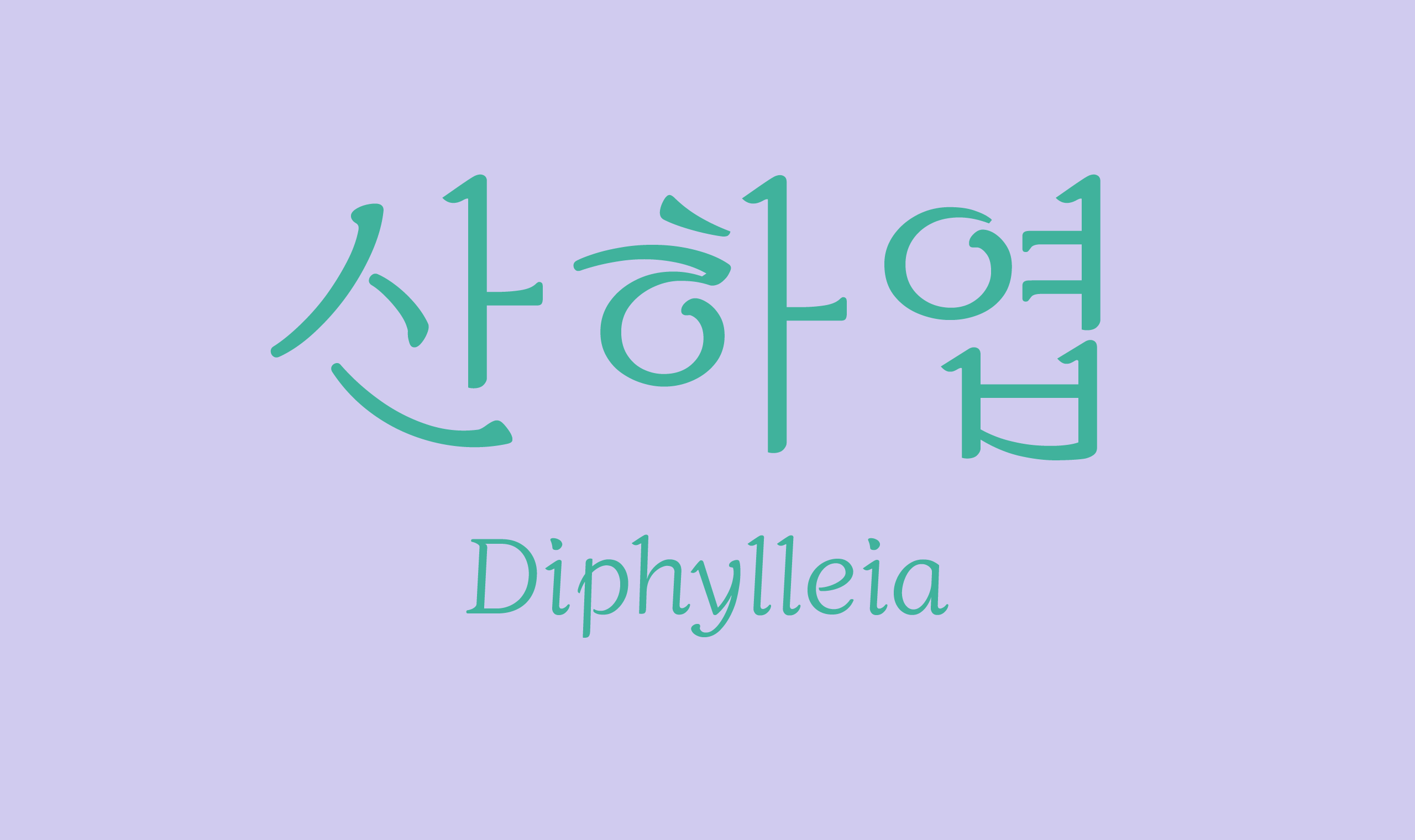 폰코, 무료폰트, JAMO, OFL, 산하엽, Diphylleia