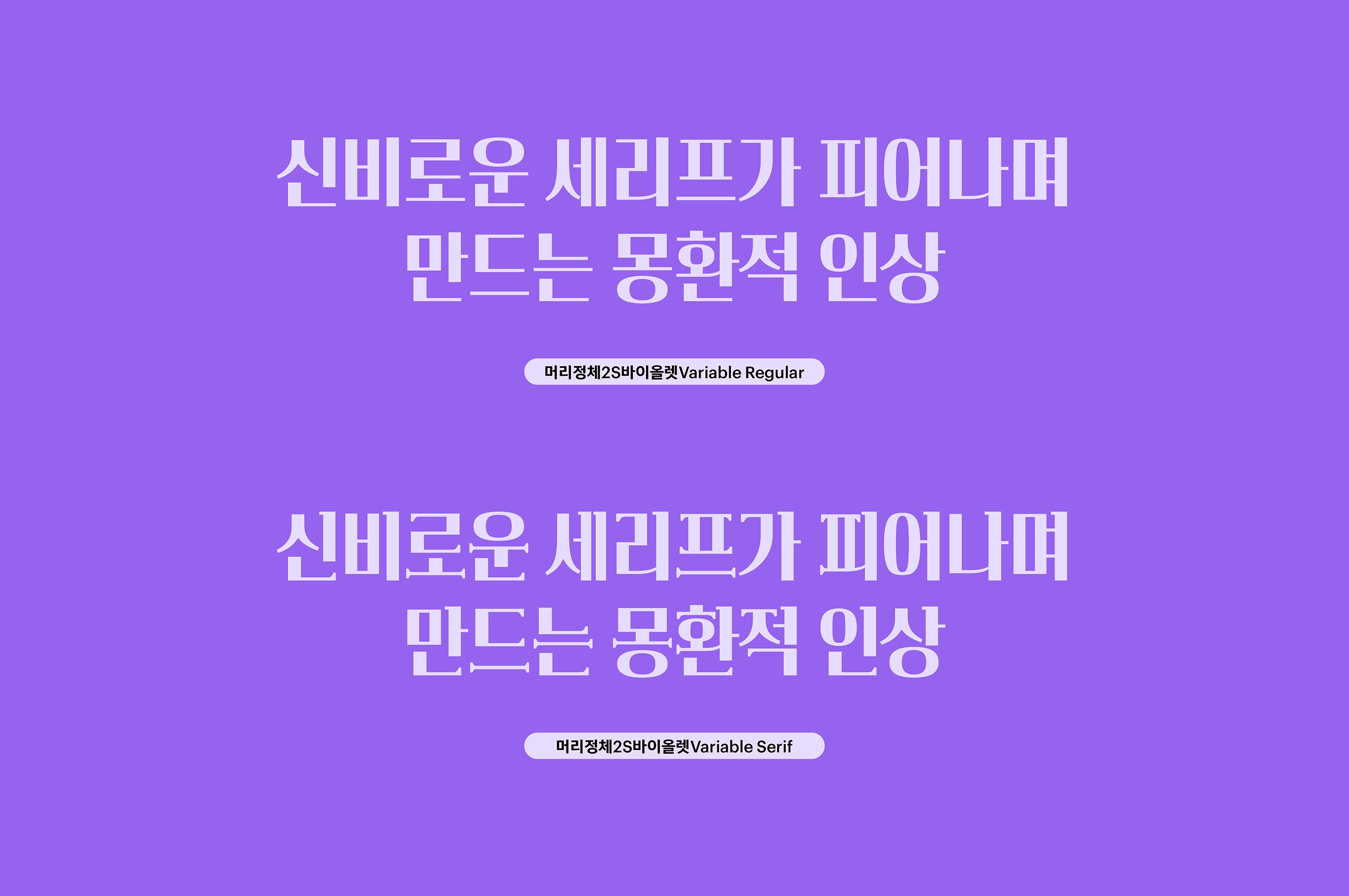 윤디자인, 폰코, 폰트, 머리정체2S, 바이올렛, 배리어블폰트, variable font, 제목용, 타이틀, 자막폰트, 세리프, 산세리프, 장식적