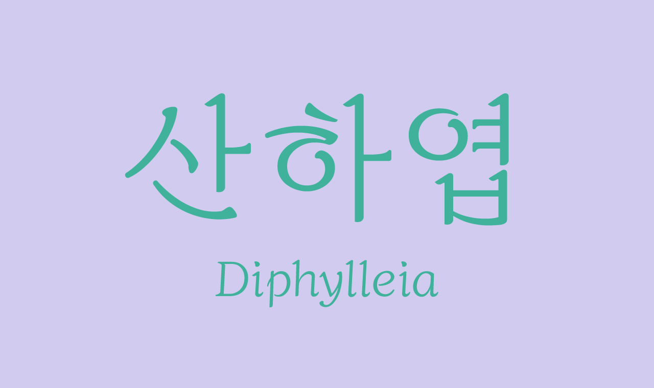 텍스트 이미지