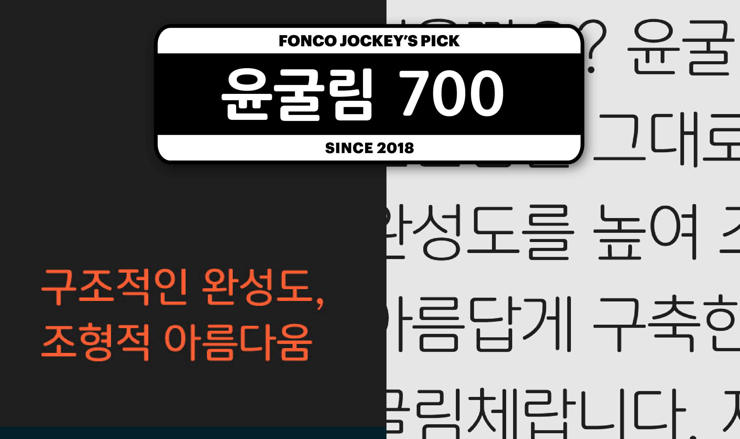 텍스트 이미지