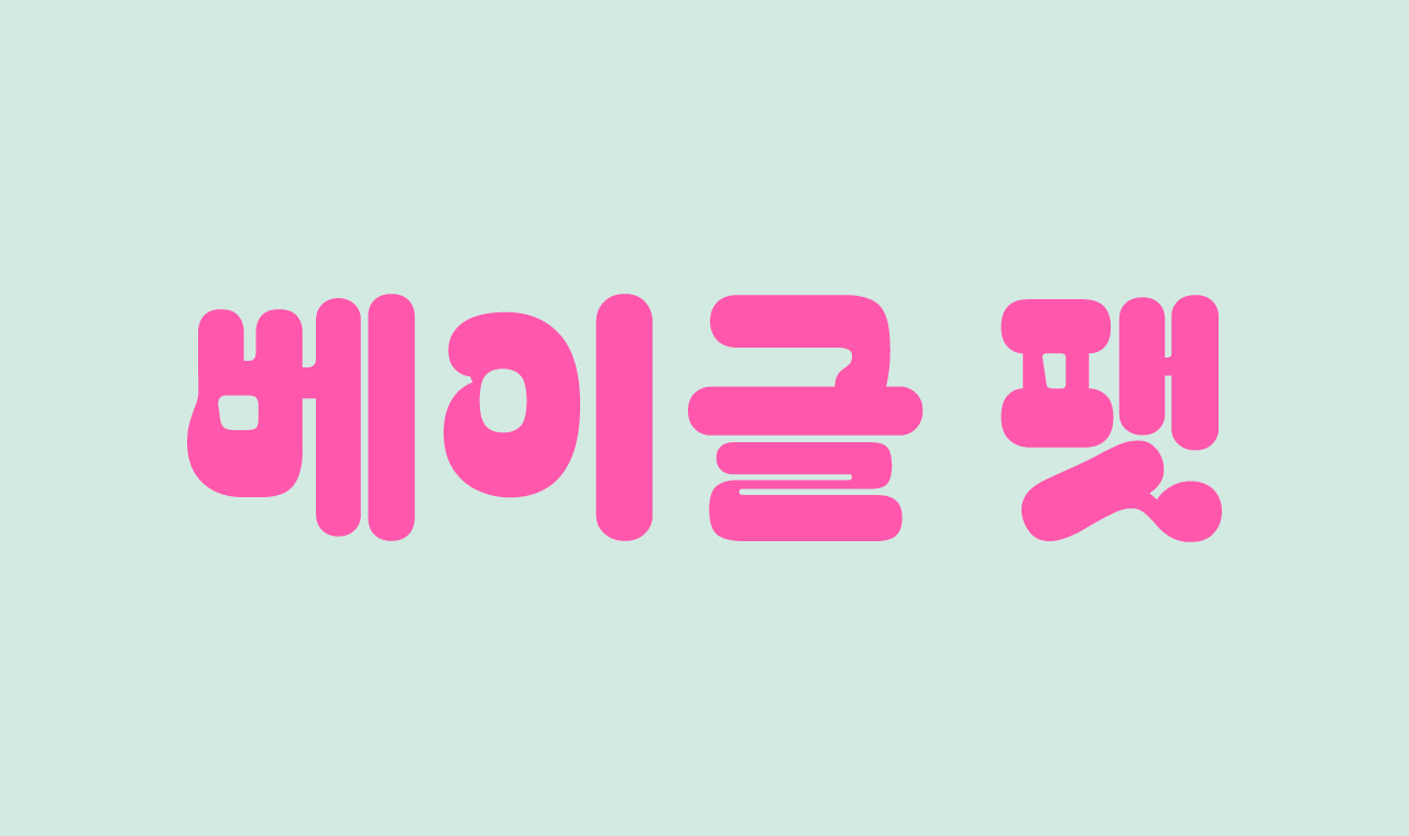 텍스트 이미지